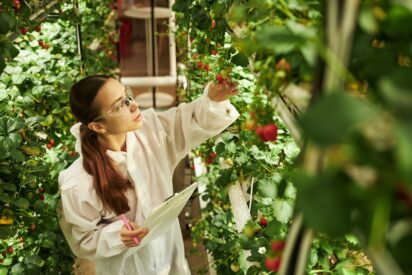 Eatable Adventures lanza Ra&iacute;ces para cerrar la brecha de inversi&oacute;n en startups hispanohablantes