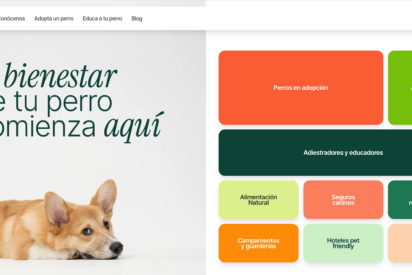 Hundwell: la plataforma de bienestar canino que busca acabar con el abandono de perros en Espa&ntilde;a