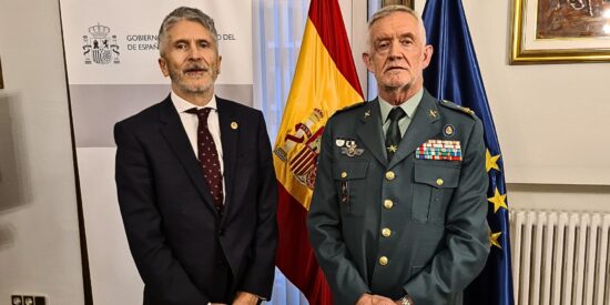 Fernando Grande-Marlaska, Manuel Llamas