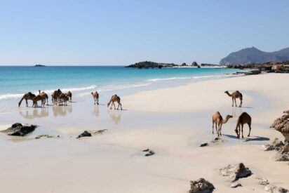 Dhofar florece con el Khareef 2026: naturaleza, cultura y negocio en plena temporada del monz&oacute;n