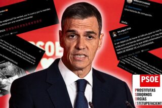 Estallan las redes por el rid&iacute;culo v&iacute;deo del PSOE: &laquo;Orgullosos de robar, mafia&raquo;