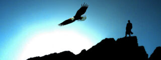 El vuelo del &aacute;guila