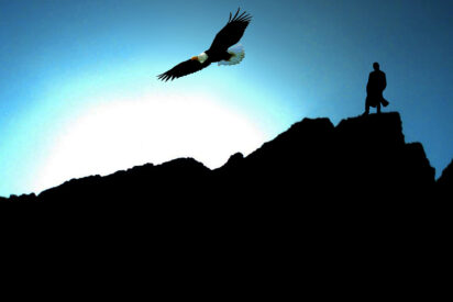 El vuelo del &aacute;guila
