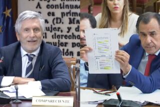 Fernando Grande-Marlaska y Jos&eacute; Antonio Mart&iacute;nez Ma&iacute;llo.