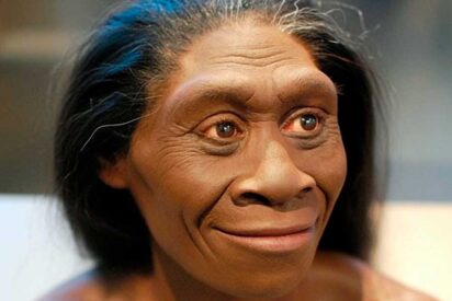 El diminuto &lsquo;hobbit&rsquo; de Flores que obliga a replantear la evoluci&oacute;n humana