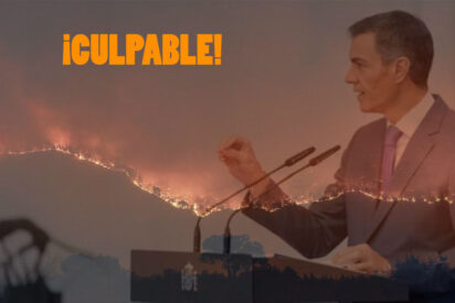 &iquest;Existe una relaci&oacute;n entre el incendio de Los Gallardos y la concesi&oacute;n de un proyecto fotovoltaico en la zona?