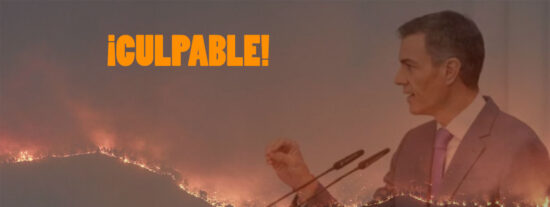 &iquest;Existe una relaci&oacute;n entre el incendio de Los Gallardos y la concesi&oacute;n de un proyecto fotovoltaico en la zona?