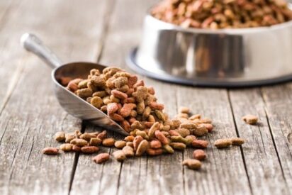 Revisi&oacute;n de 31 estudios concluye que los alimentos veganos para perros y gatos tienen buena digestibilidad