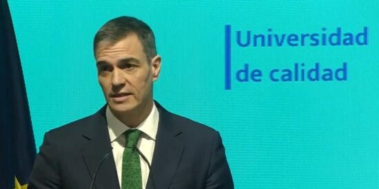 Pedro S&aacute;nchez.