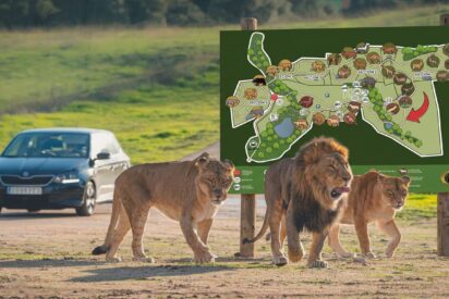 Los 3.000 animales salvajes de 'Safari Madrid' se salvan de milagro: el incendio lleg&oacute; a 500 metros del recinto