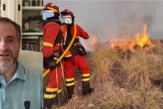 Un ingeniero forestal desarma el relato de S&aacute;nchez con los incendios: &laquo;El climatismo...&raquo;