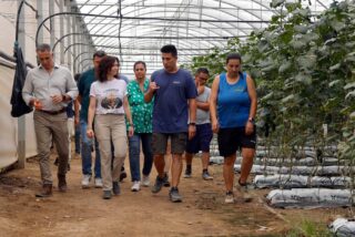 Ayuso anuncia ayudas extraordinarias para agricultores y ganaderos afectados por el incendio de la Sierra Oeste