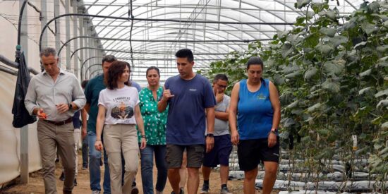 Ayuso anuncia ayudas extraordinarias para agricultores y ganaderos afectados por el incendio de la Sierra Oeste