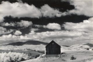 Secuencias y miradas de Minor White