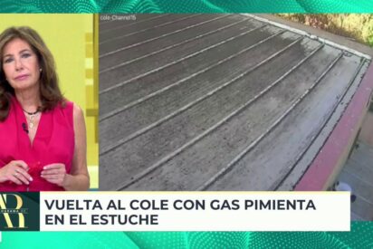Ana Rosa Quintana en 'El programa de Ana Rosa' (Telecinco) 