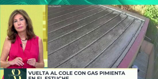 Ana Rosa Quintana en 'El programa de Ana Rosa' (Telecinco) 