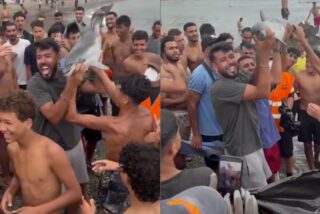 Imagen de los inmigrantes con la cr&iacute;a de delf&iacute;n ya muerta.