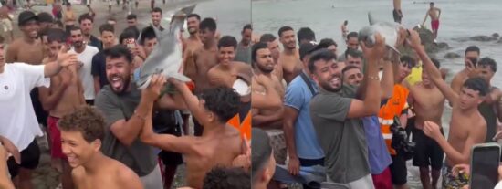 Imagen de los inmigrantes con la cr&iacute;a de delf&iacute;n ya muerta.