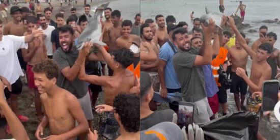 Imagen de los inmigrantes con la cr&iacute;a de delf&iacute;n ya muerta.