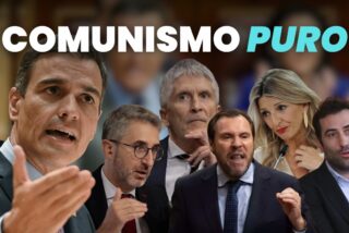 Comunismo puro