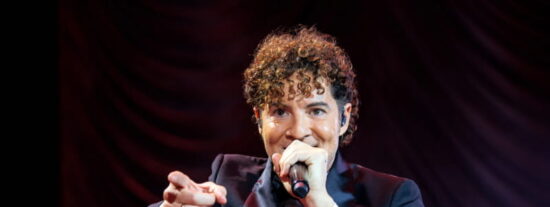 David Bisbal en concierto
