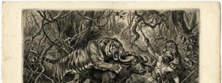 Los 10 ataques de tigre a humanos m&aacute;s c&eacute;lebres de la historia