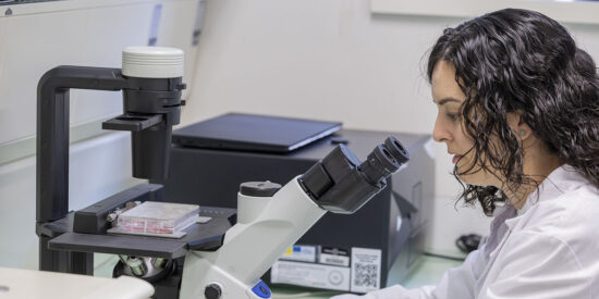 La investigadora Mireia L&oacute;pez Siles, en el laboratorio de la Universitat de Girona.