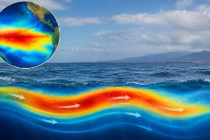 Qu&eacute; son las ondas Kelvin detr&aacute;s del oleaje destructivo que afecta a M&eacute;xico y California