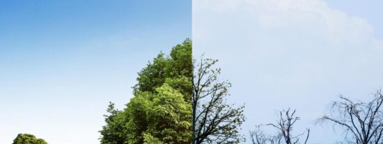 Pron&oacute;stico del Tiempo: lluvias y descenso t&eacute;rmico este s&aacute;bado 17 de octubre de 2026