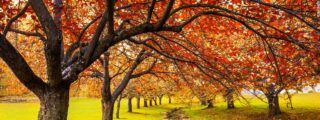 Pron&oacute;stico del Tiempo en Espa&ntilde;a este s&aacute;bado, 10 de octubre de 2026